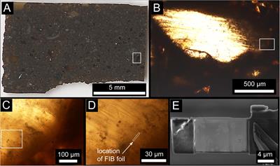Organic Matter Preservation and Incipient Mineralization of Microtubules in 120 Ma Basaltic Glass